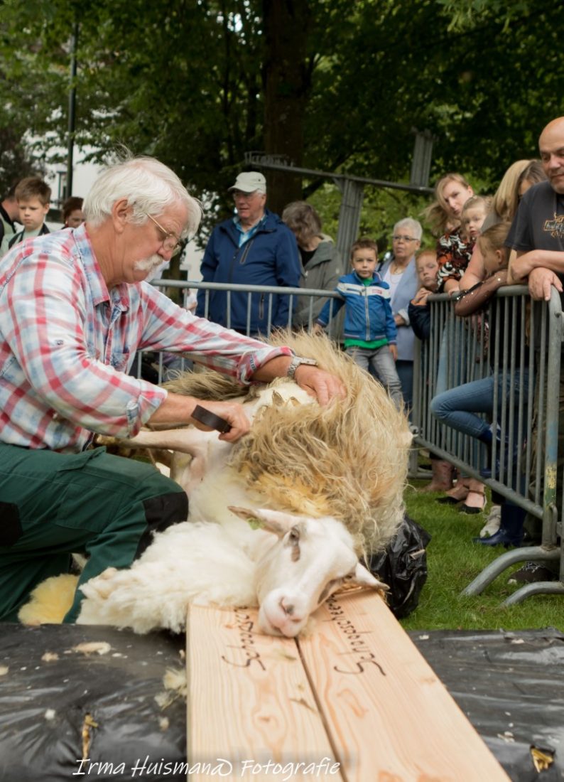 De nestor van het gezelschap, Harry Reezigt uit Epe.